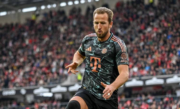 因为他们的 因为他们的