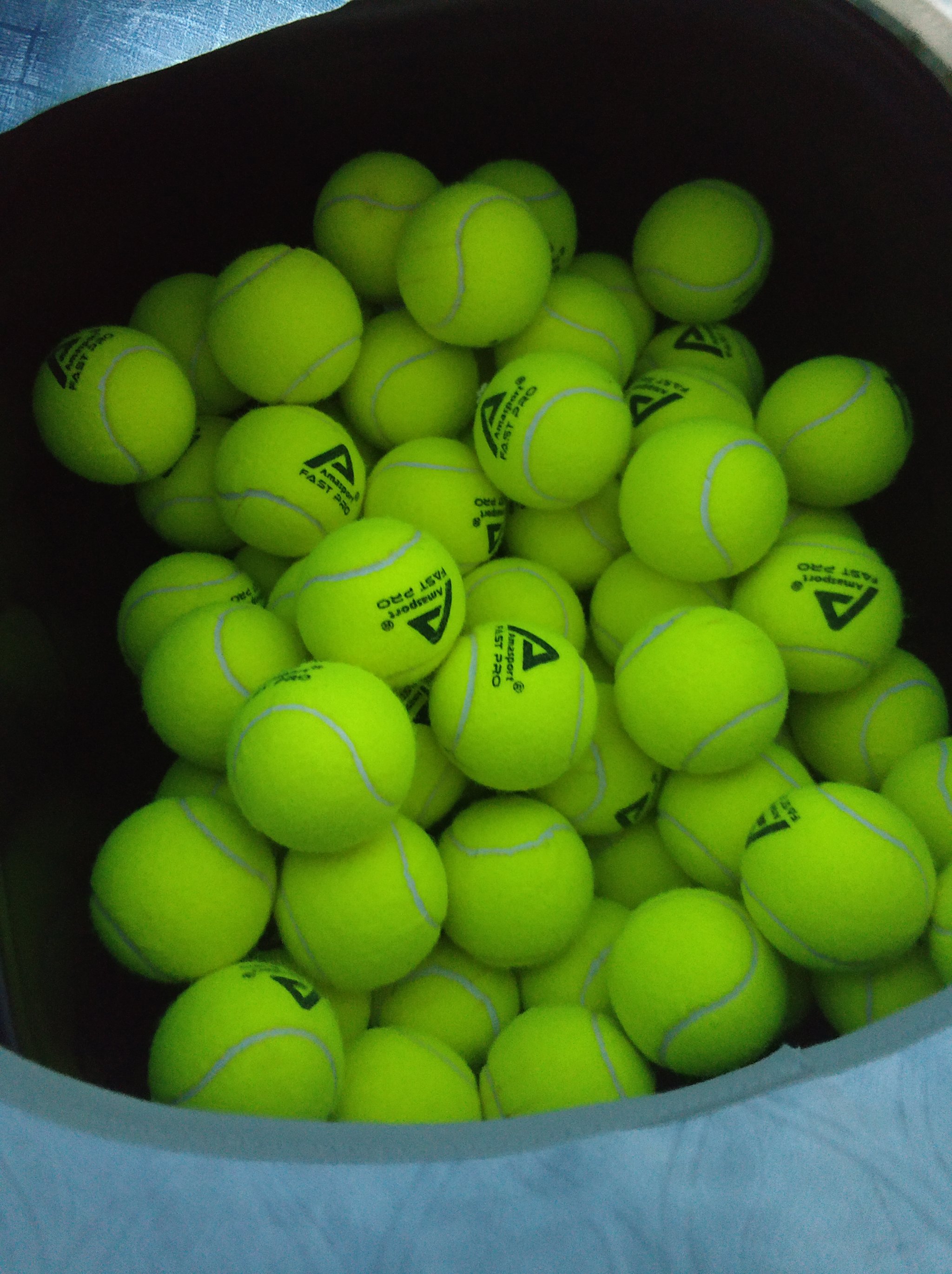 全明星之夜 全明星之夜